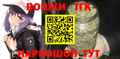молекула духа Будённовск