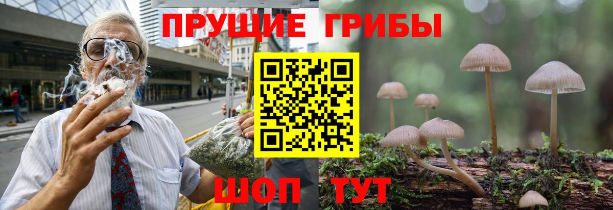 Псилоцибиновые грибы Cubensis  Вход с VPN  Пенза 